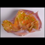 Honey's Bloom v2 6 x 11 x 9.jpg